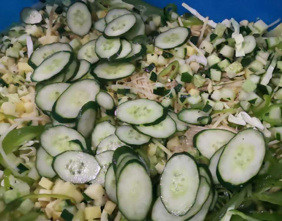 切菜机，蔬菜切丝机，多功能切菜机，全自动切菜机，蔬菜切片机